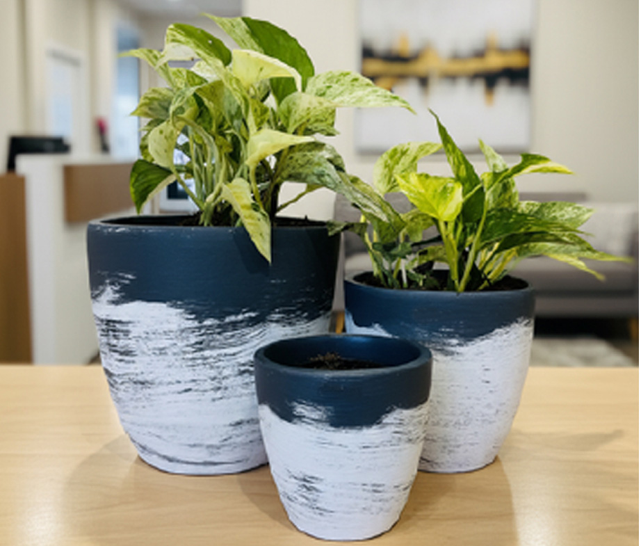 Decorative Pots