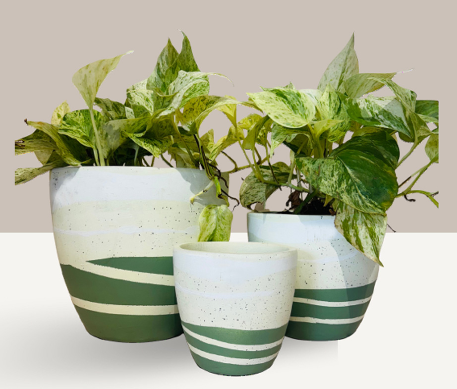 Decorative Pots