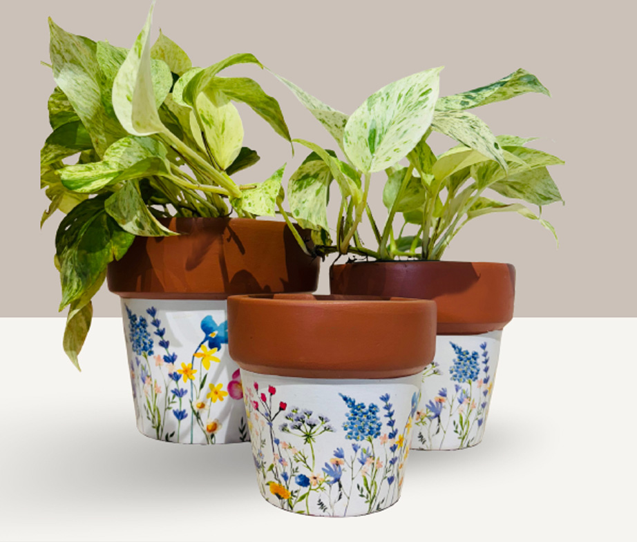 Decorative Pots